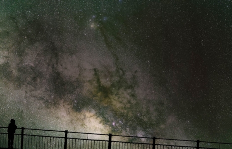 Why Does The World Exist ?