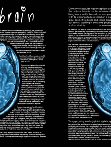 IDIOT BRAIN by Dean Burnett