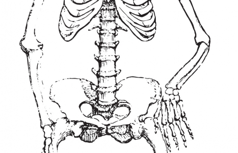 The Ricketty Cossack